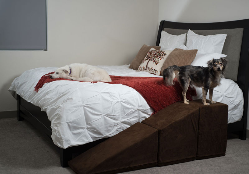 dog stairs for bed